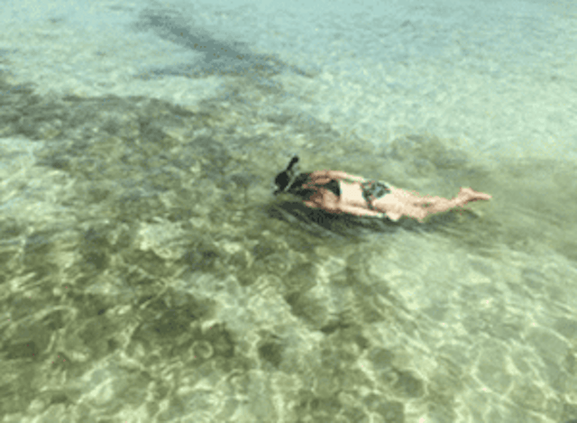 Key Life Charters image 2