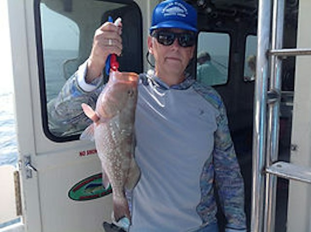 The Miss Venice Deep Sea Fishing image 7