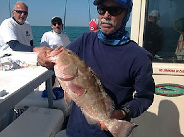The Miss Venice Deep Sea Fishing image 11