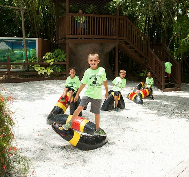 Sarasota Jungle Gardens image 4