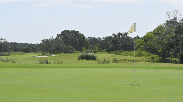 Bobby Jones Golf Club image 4