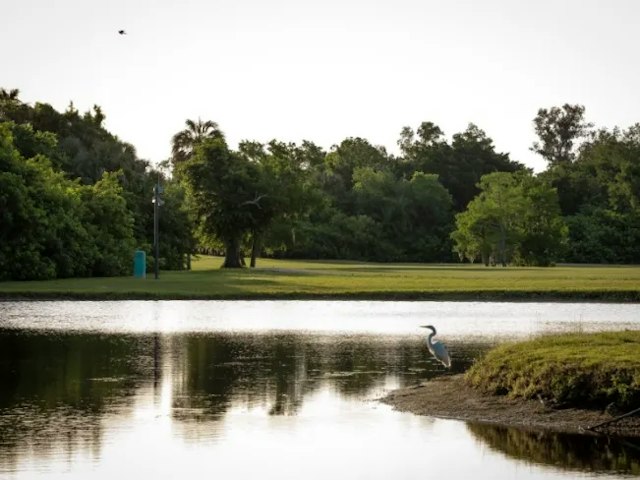 Manatee Golf Course image 5