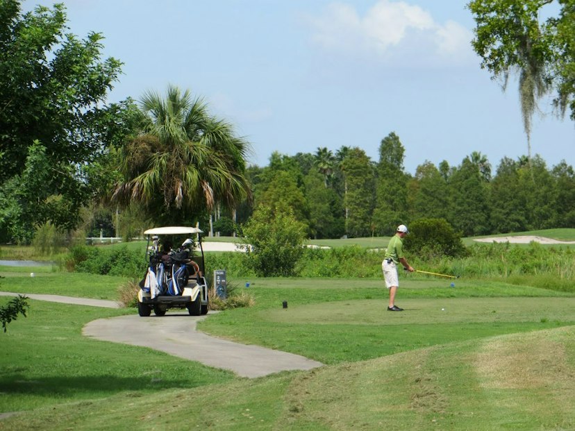 Links at Greenfield Plantation Golf Course image 1