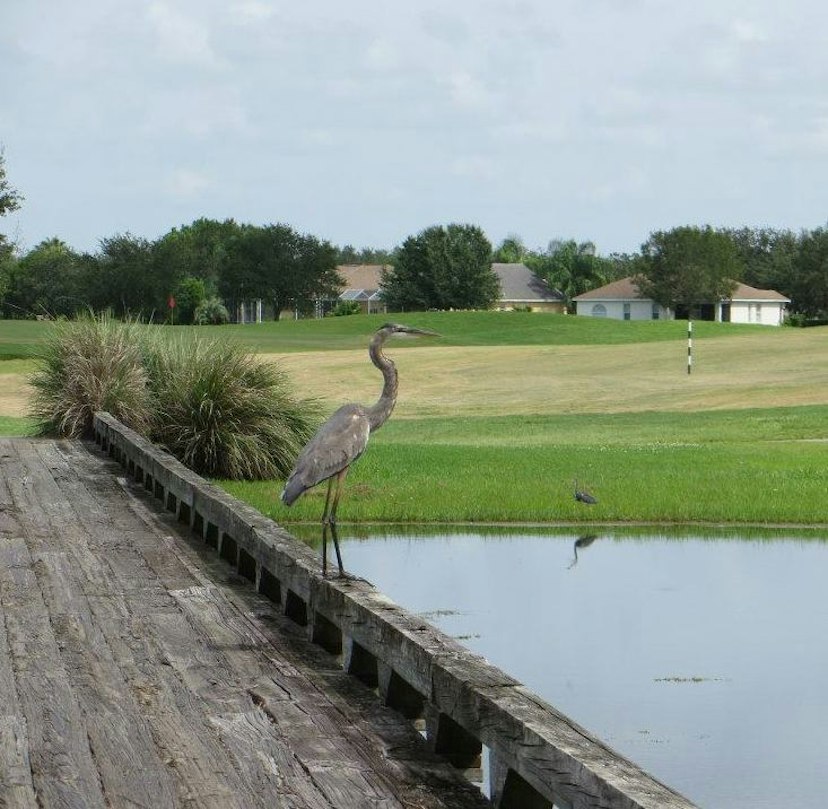 Links at Greenfield Plantation Golf Course image 3