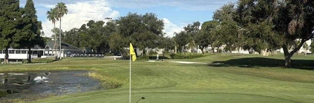 Pinebrook Ironwood Golf Club image 1