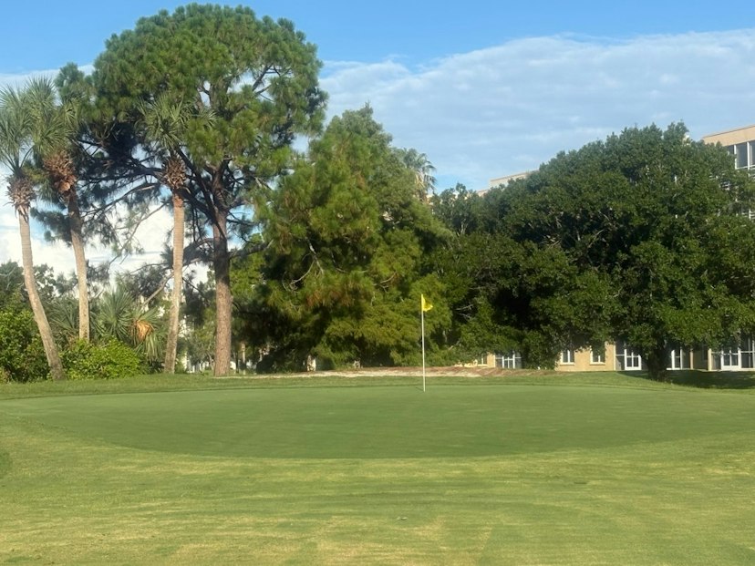 Pinebrook Ironwood Golf Club image 3