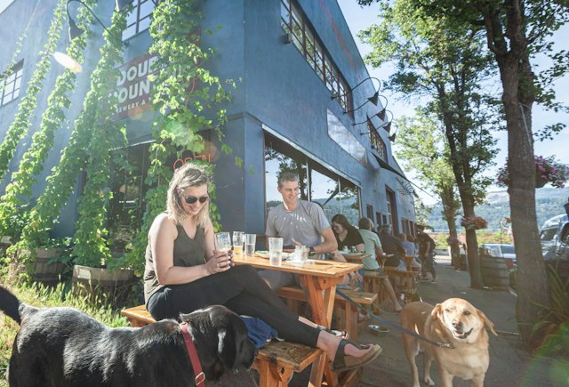 Double Mountain Brewery and Taproom image 9