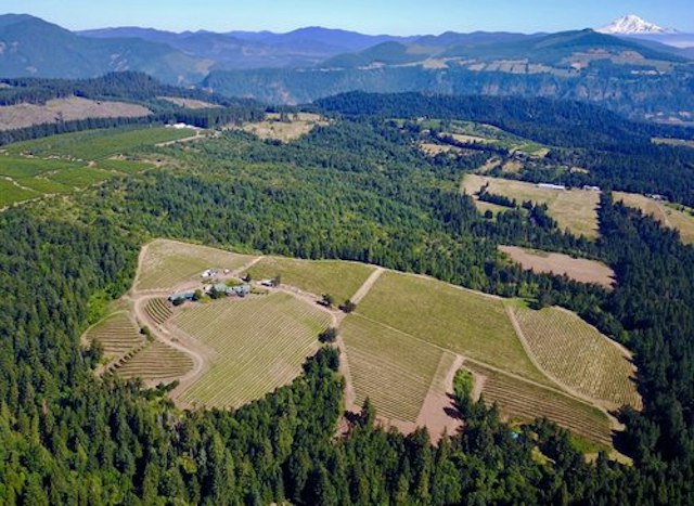 Phelps Creek Vineyards Tasting Room image 10