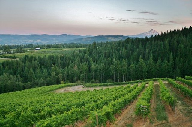 Phelps Creek Vineyards Tasting Room image 11