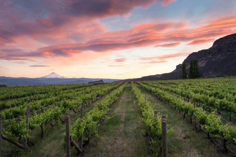 Cascade Cliffs Hood River Tasting Room image 3