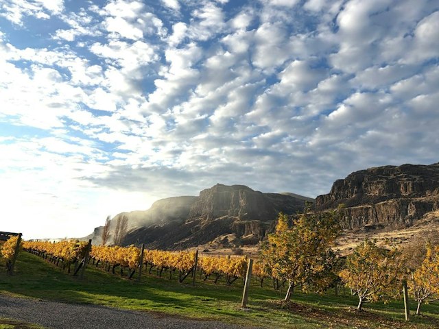 Cascade Cliffs Hood River Tasting Room image 9