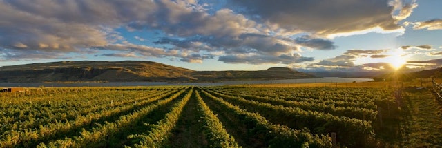 Cascade Cliffs Hood River Tasting Room image 14