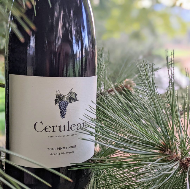 Cerulean Wine Tasting Room – Hood River image 6