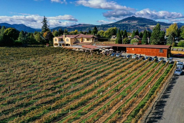 Marchesi Vineyards image 1