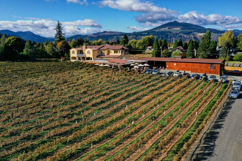 Marchesi Vineyards image 1