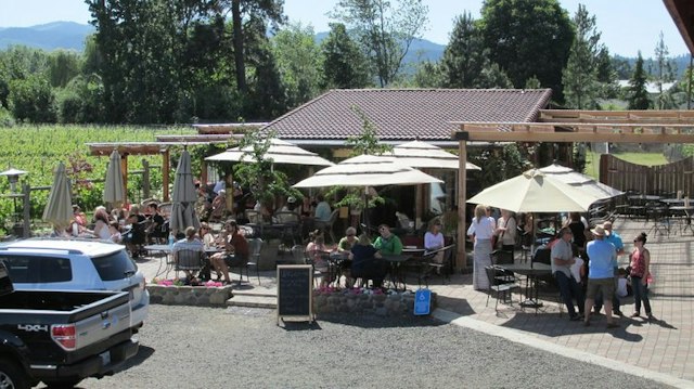Marchesi Vineyards image 3