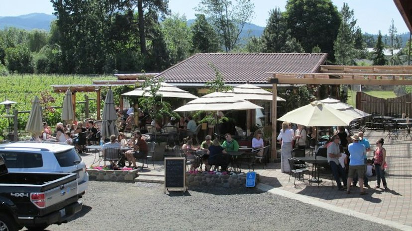 Marchesi Vineyards image 3