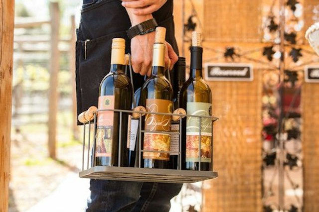 Marchesi Vineyards image 12