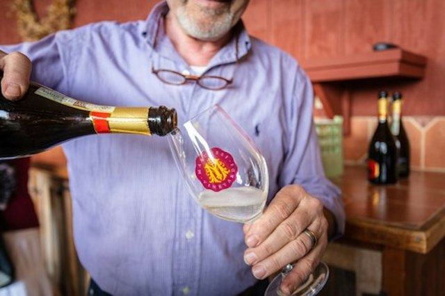 Marchesi Vineyards image 17