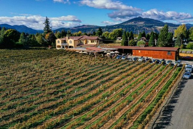 Marchesi Vineyards image 21