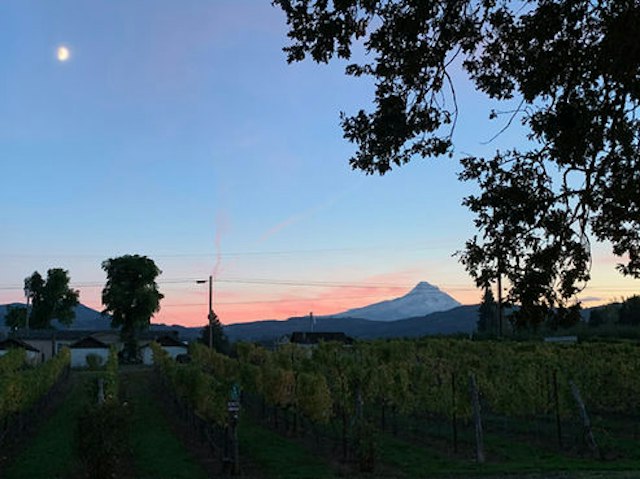 Hood Crest Winery & Distillers image 11