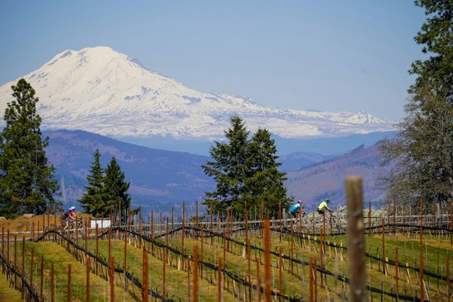 Stave & Stone Winery at the Vineyard image 5