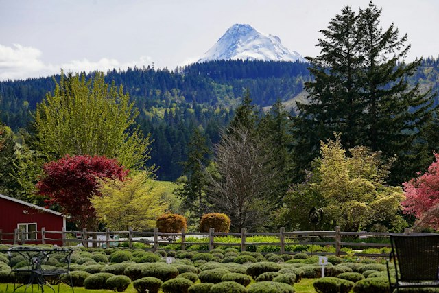 Stave & Stone Winery at the Vineyard image 17