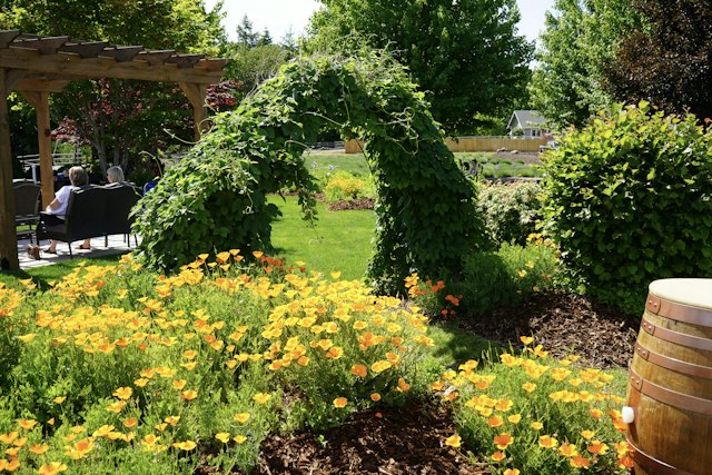 Stave & Stone Winery at the Vineyard image 18