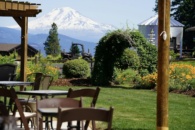Stave & Stone Winery at the Vineyard image 26