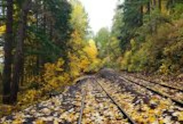 Mt. Hood Railroad image 2