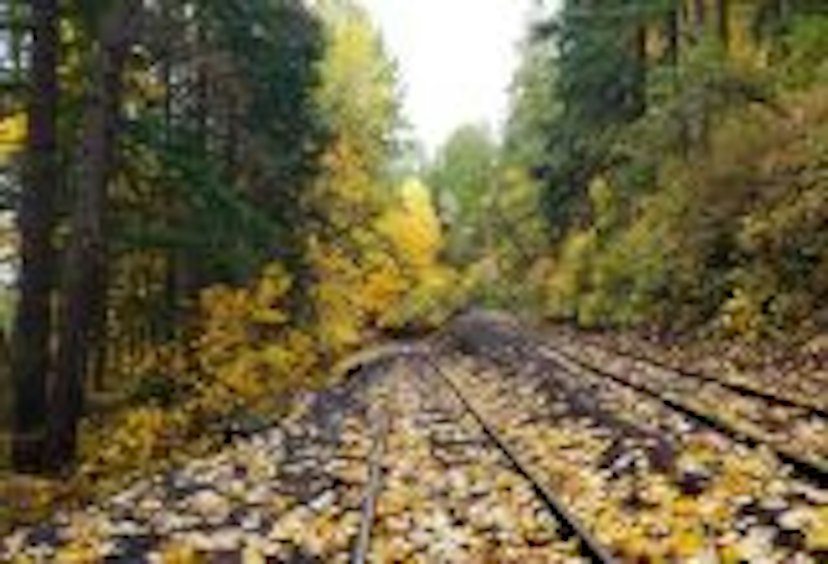 Mt. Hood Railroad image 2