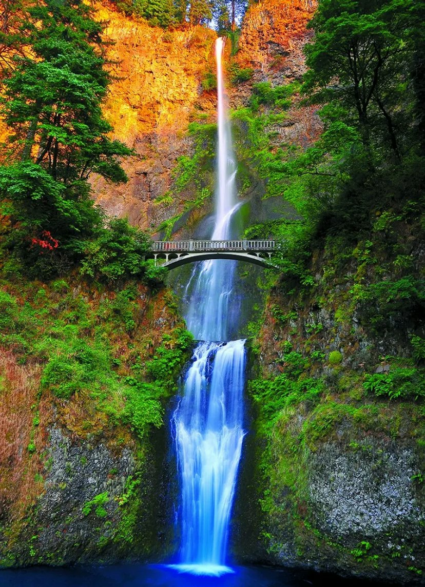 Mt. Hood Railroad image 3