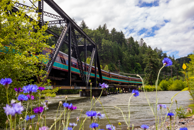 Mt. Hood Railroad image 16