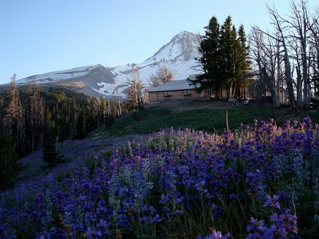 Cooper Spur Mountain Resort & Ski Area image 3