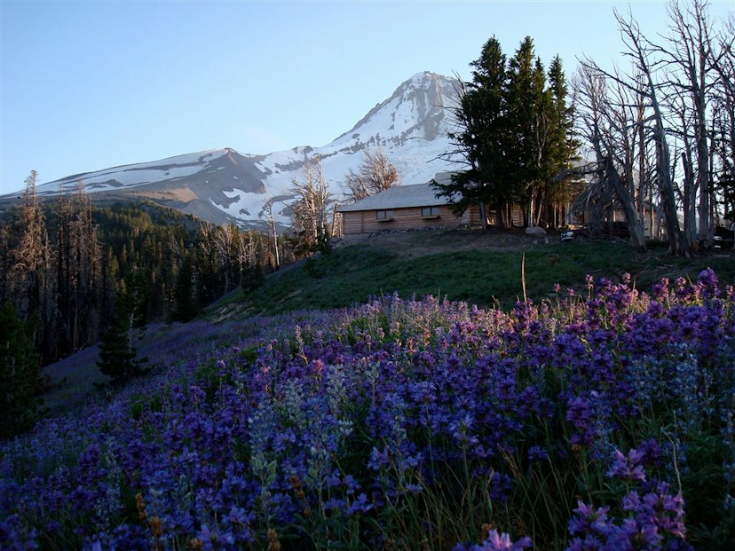 Cooper Spur Mountain Resort & Ski Area image 3