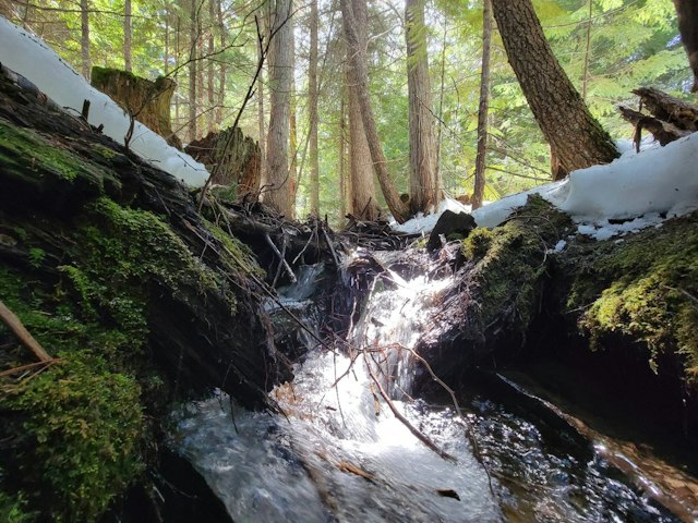 Cooper Spur Mountain Resort & Ski Area image 16