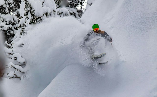 Mt. Hood Meadows image 1