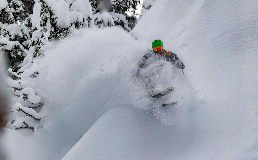 Mt. Hood Meadows image 1