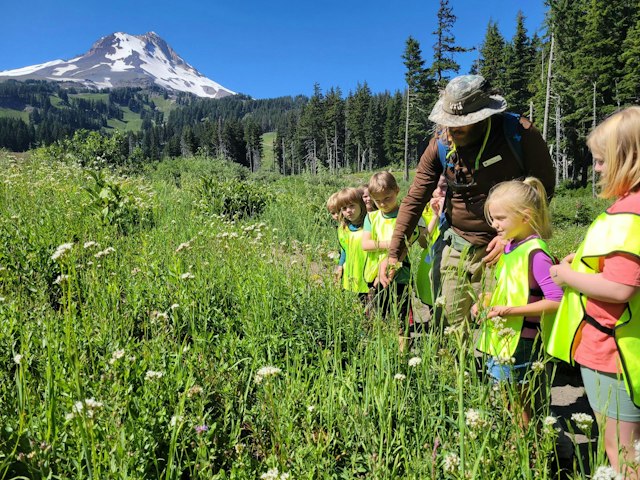 Mt. Hood Meadows image 4