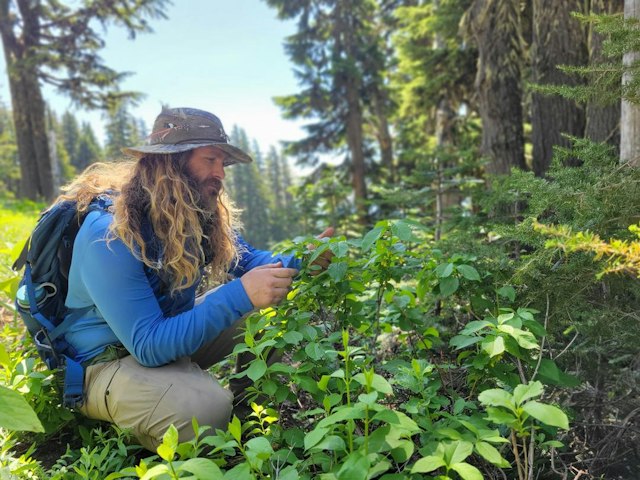 Mt. Hood Meadows image 11