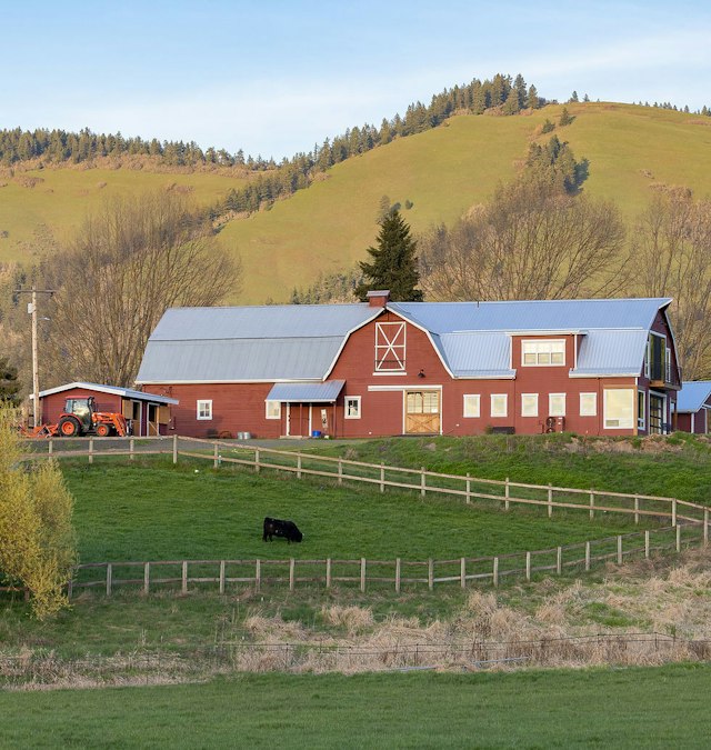 Triskele Rivers Care Farm image 4