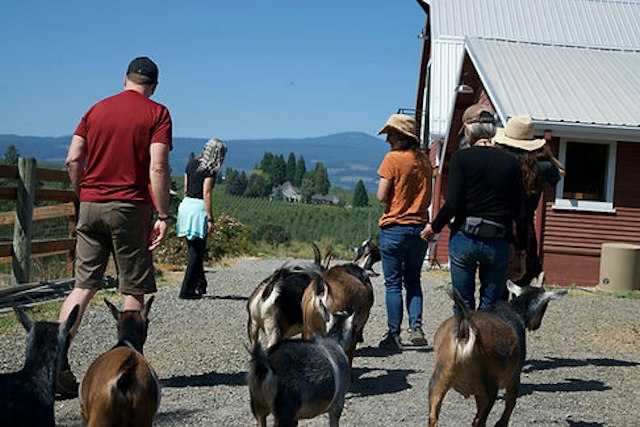 Triskele Rivers Care Farm image 6