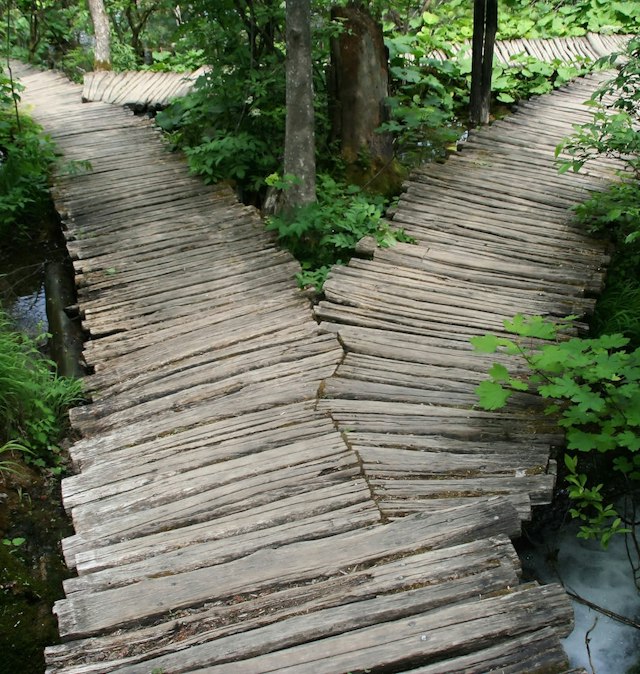 Triskele Rivers Care Farm image 7