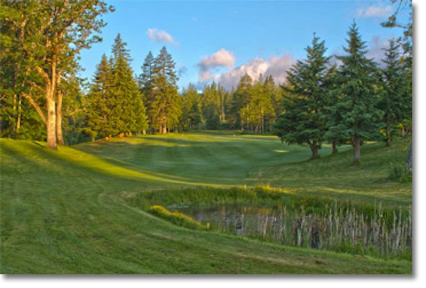 Hood River Golf & Country Club image 1
