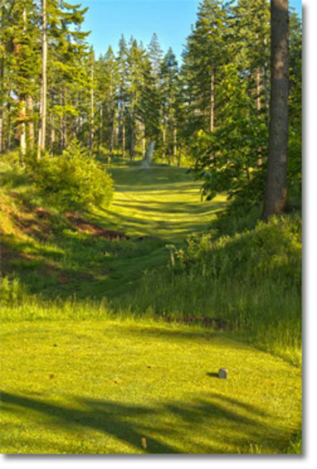 Hood River Golf & Country Club image 7