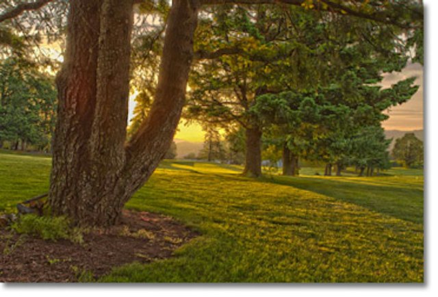 Hood River Golf & Country Club image 8