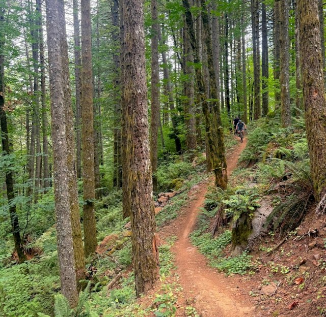 Bike the Gorge image 5
