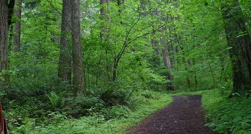 Ainsworth State Park image 2