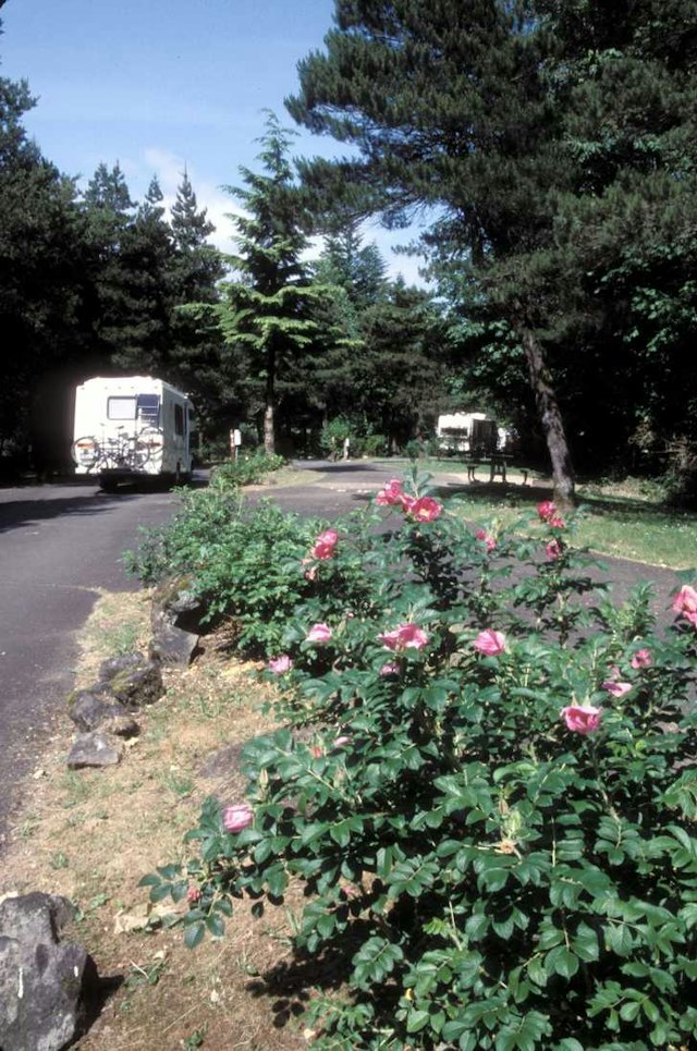 Ainsworth State Park image 6