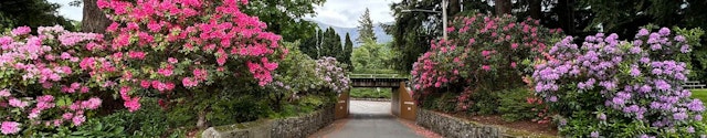 Marine Park at Cascade Locks image 1